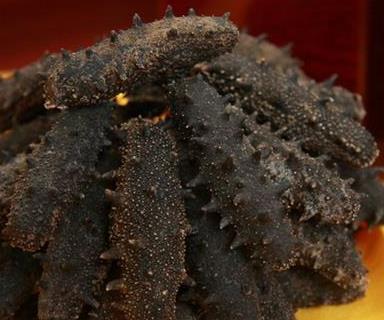 连南高价海参回收行情