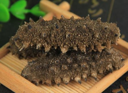 连南高价海参回收行情