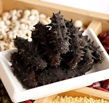 连南专业海参回收商家报价