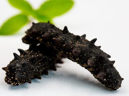 连州长期海参回收价格