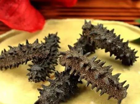 南头海参回收市场行情多少钱