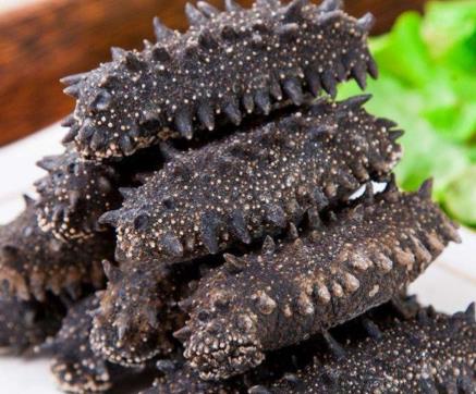 阜沙海参回收价格多少钱