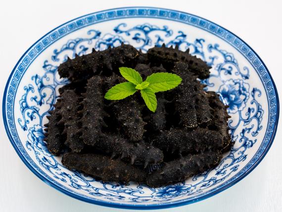 小榄海参回收商家报价