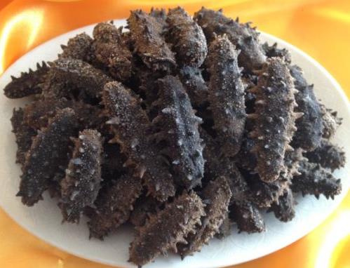 东升海参回收商家在哪