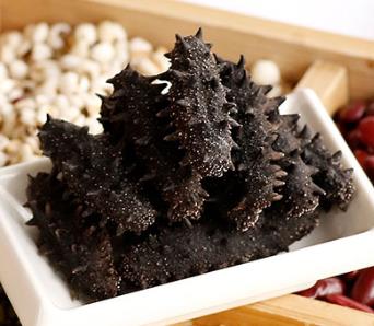 横栏长期海参回收价格