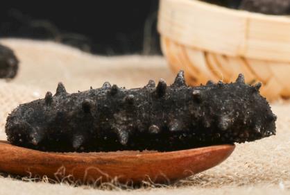 横栏专业海参回收商家报价