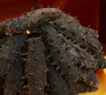 横栏海参回收价格多少钱