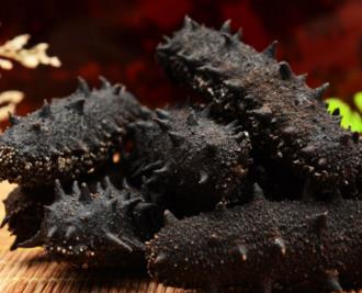 横栏商家上门海参回收价格