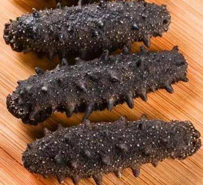 三角海参回收商家在哪