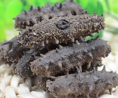 民众长期海参回收价格