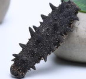 民众海参回收价格多少钱