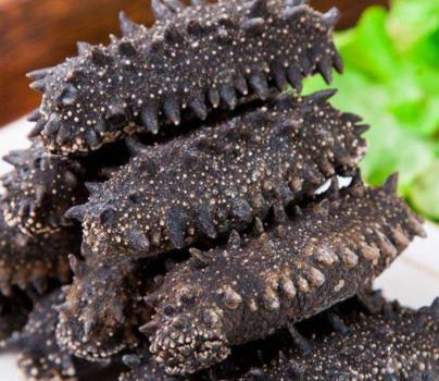 民众海参回收价格多少钱