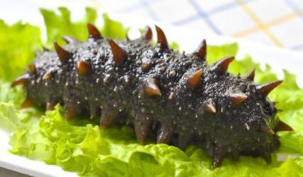 石龙海参回收-石龙回收海参多少钱