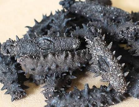 南朗长期海参回收价格