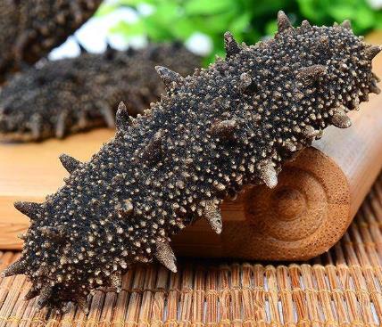 南朗高价海参回收行情