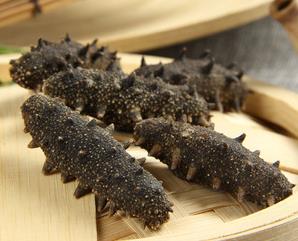 南朗海参回收价格多少钱