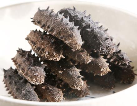 南朗海参回收商家在哪