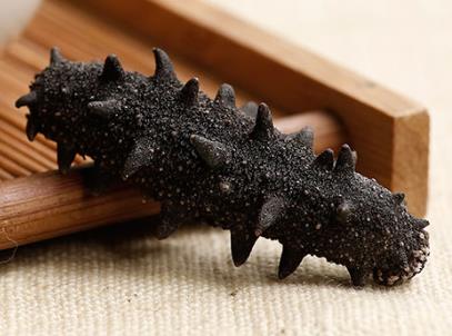 港口长期海参回收价格