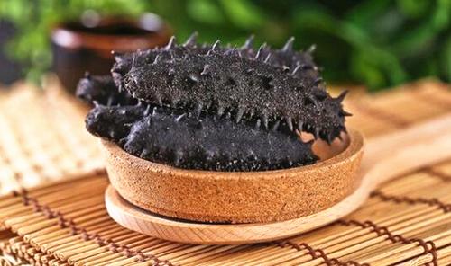 石龙海参回收多少钱