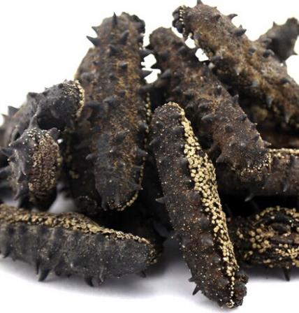 港口海参回收商家报价