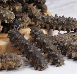 港口专业海参回收商家报价