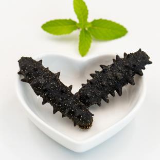 港口商家上门海参回收