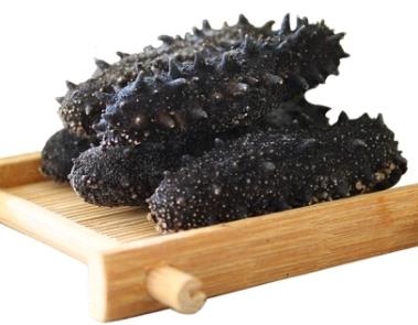 港口商家上门海参回收