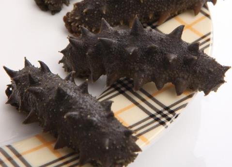 大涌长期海参回收价格多少钱