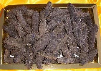 大涌海参回收商家报价