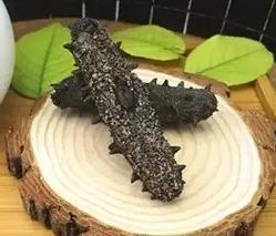 大涌高价海参回收行情