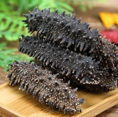 大涌专业海参回收商家报价