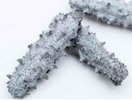 大涌专业海参回收商家报价