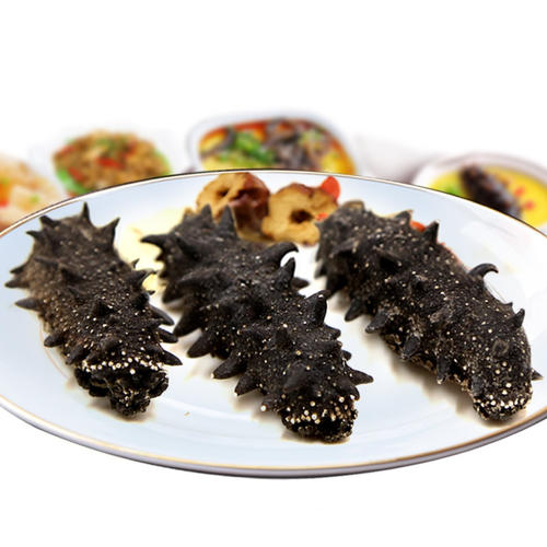 寮步海参回收-寮步上门回收海参