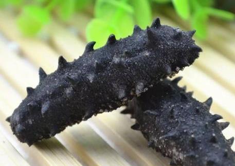 沙溪高价海参回收行情