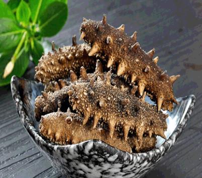 沙溪专业海参回收商家报价