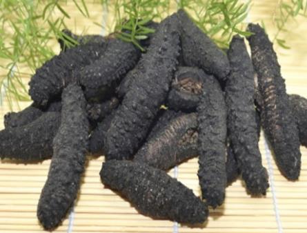 沙溪商家上门海参回收