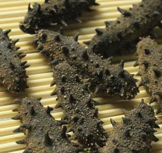 沙溪海参回收商家在哪