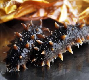 道滘海参回收-道滘上门回收海参