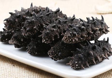 三乡长期海参回收价格