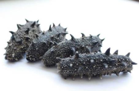 三乡专业海参回收商家报价