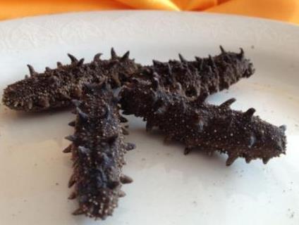 三乡海参回收价格多少钱