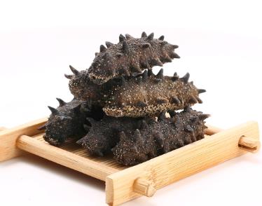 板芙长期海参回收价格