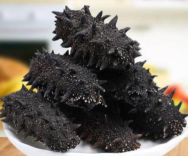 板芙长期海参回收价格