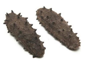 板芙高价海参回收行情