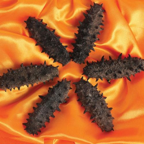 石碣回收海参-石碣海参回收商家