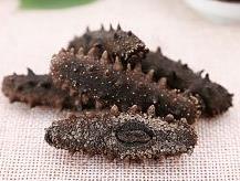 板芙海参回收价格多少钱