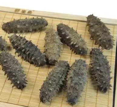 板芙海参回收商家在哪