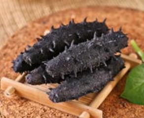 板芙海参回收商家在哪