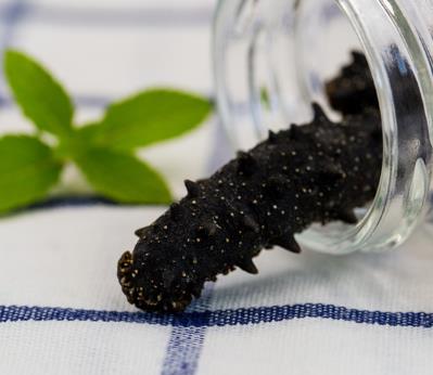 神湾海参回收价格多少钱