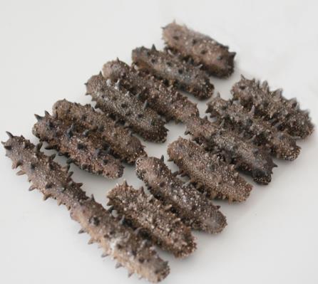 坦洲海参回收商家报价